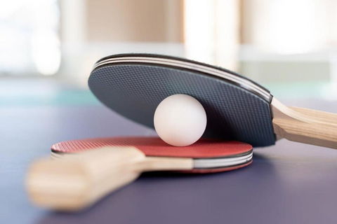 Gracelands Swiss Inspired Home With Gorgeous Grounds - Pubs and Clubs 4