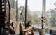 Grand Designs Eco Bush Retreat - thumb 3