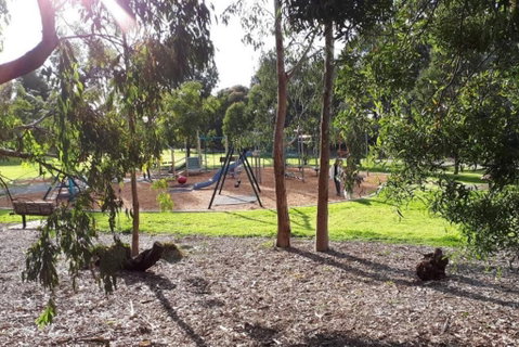 Harp Haven - Contemporary In Suburban Tree Lined Kew - Go Out 1