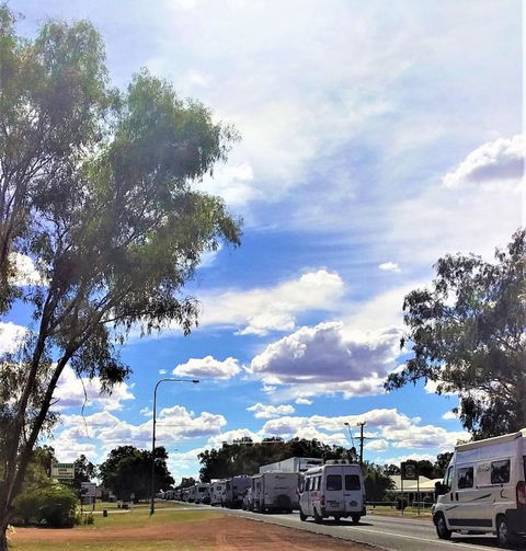 Ironbark Inn - Pubs and Clubs 3