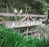 Allenvale - Pubs and Clubs