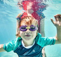 Anglesea Family Caravan Park - Pubs and Clubs