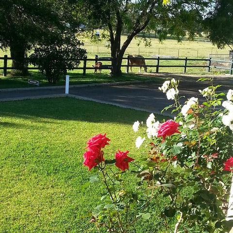 Appin Homestay B & B - Pubs and Clubs 3