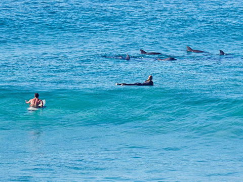 Aquarius Apartment 9 - Pubs and Clubs 1