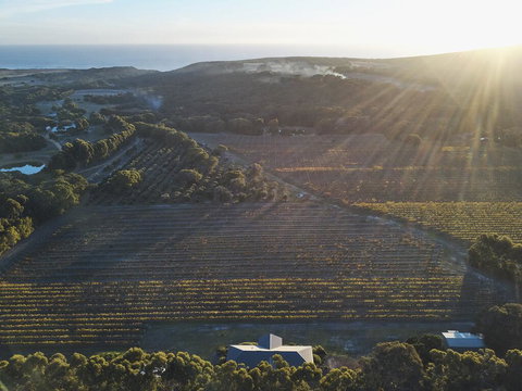 Arimia Estate Guesthouse - Go Out 1