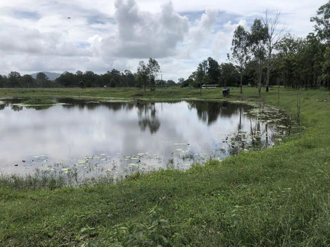 Makowata Farm By Tiny Away - Pubs and Clubs 2