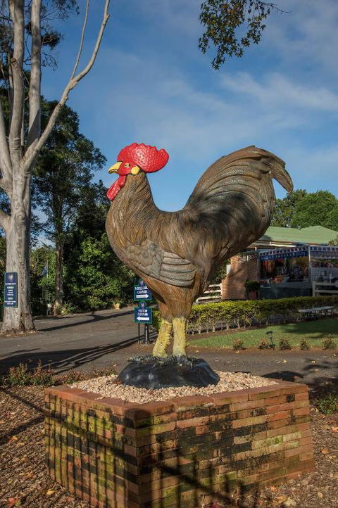 Maleny Hills Motel - Pubs and Clubs 2
