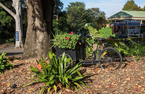 Maleny Hills Motel - Pubs and Clubs 3