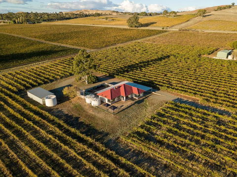 McGill Vineyard Barossa - Pubs and Clubs 0