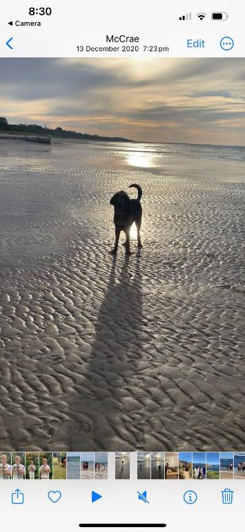 Mcrae Retro Beach House ! - Pubs and Clubs 2