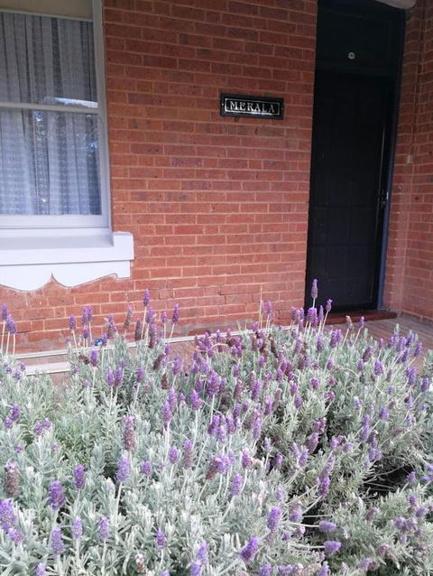 Merala A Cosy Cottage With Easy Stroll To CBD - Pubs and Clubs 3