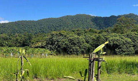 Mission Beach Rural Escape - Pubs and Clubs 2