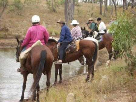 Misty Mountain Retreat By Tiny Away - Pubs and Clubs 2