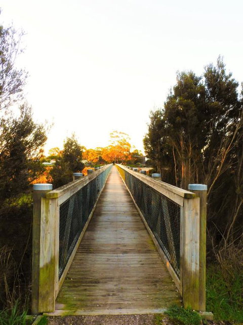 Moomba Holiday And Caravan Park - Go Out 3