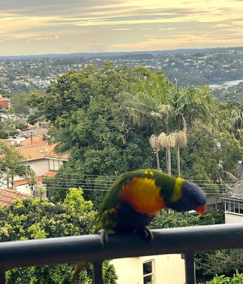 Mosman Views, 2bed, Parking, 15min Walk To Beach - Go Out 1