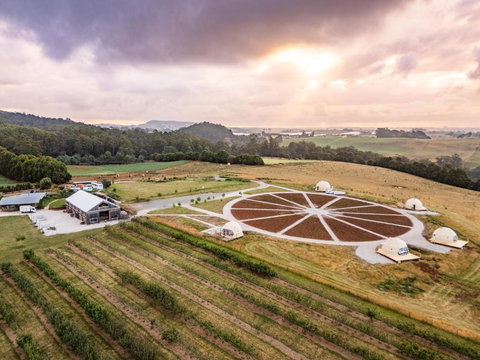 Mount Gnomon Farm - Pubs and Clubs 2