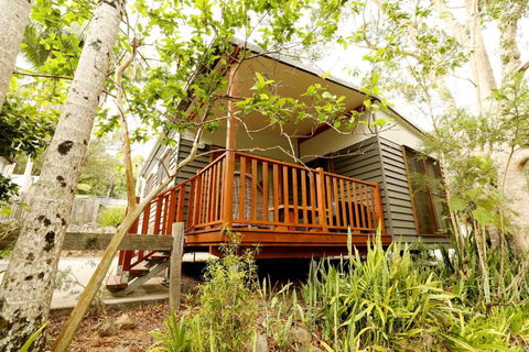 Mt Warning Rainforest Park - Go Out 1
