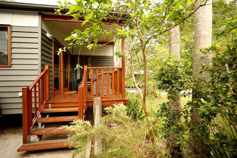 Mt Warning Rainforest Park - Go Out 0