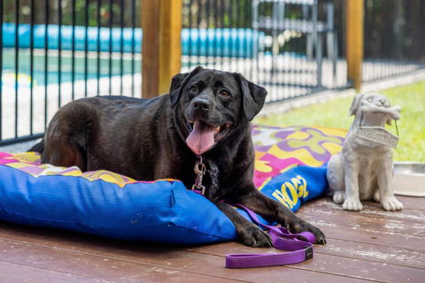 Mudjimba Retreat- Peaceful Luxury - Pubs and Clubs 2