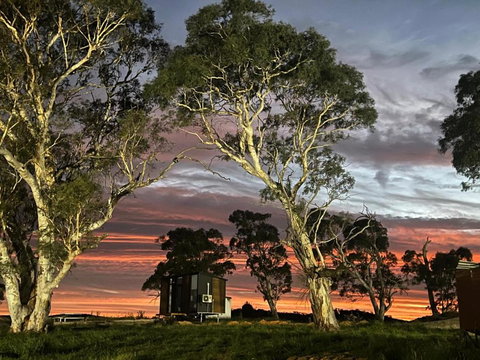 Myrtle At Lexington Park - Pubs and Clubs 3