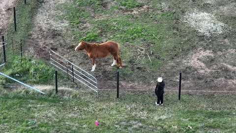 Myrtle At Lexington Park - Pubs and Clubs 1