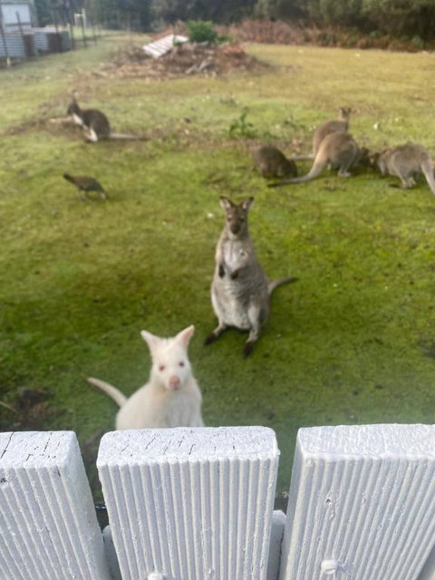 NOFOMO AT ADVENTURE BAY - Go Out 2