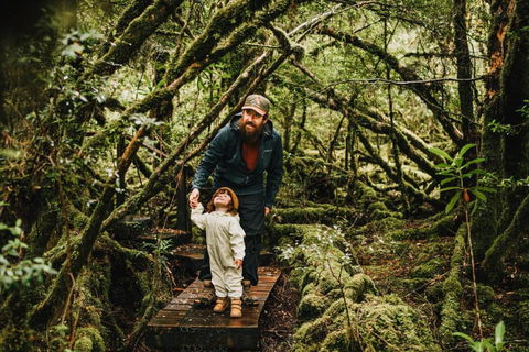 Pine Edge Heights By Tiny Away - Pubs and Clubs 3