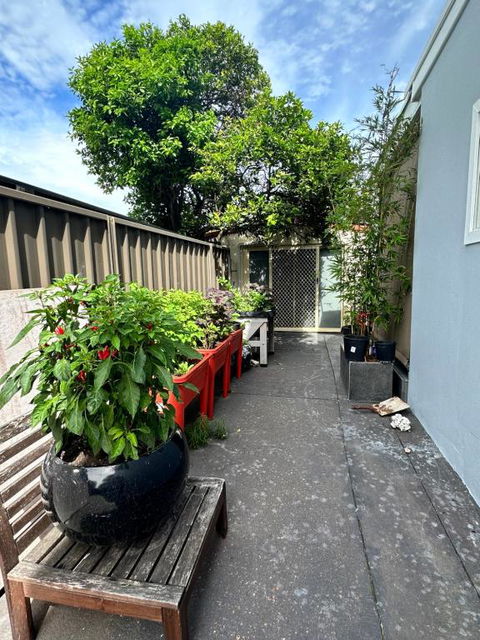 Private, Local Living Studio In Mascot, Airport - Pubs and Clubs 2