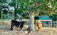 Private, Secluded Farm Retreat - thumb 3