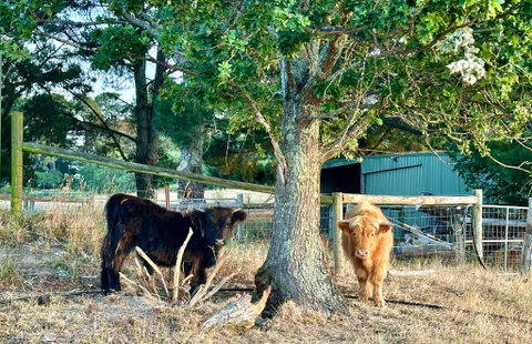 Private, Secluded Farm Retreat - Pubs and Clubs 3
