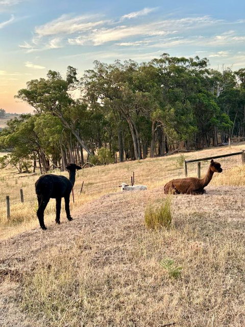 Private, Secluded Farm Retreat - Pubs and Clubs 2