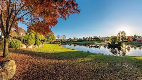 Quart Pot House - Go Out 3