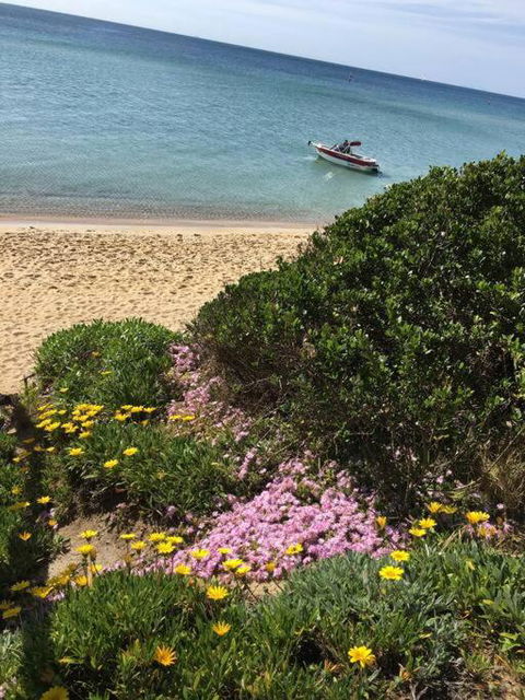 Quiet, Luxurious Guest House - Couples Retreat - Pubs and Clubs 1