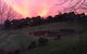 Raynella Alpaca Farmstay - thumb 3