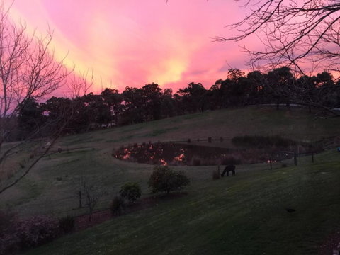 Raynella Alpaca Farmstay - Pubs and Clubs 3