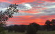 Raynella Alpaca Farmstay - thumb 2