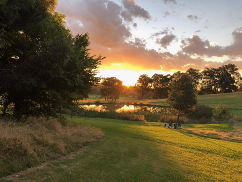Raynella Alpaca Farmstay - Pubs and Clubs 1