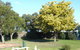 Bairnsdale Main Motel - thumb 0