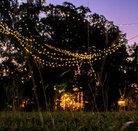 Banyan Tree - Go Out