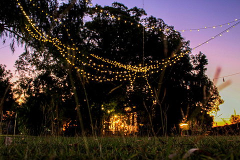 Banyan Tree - Pubs and Clubs 0