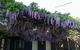 Barossa Gateway Motel - thumb 2