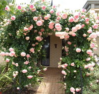 Baudins of Busselton Bed and Breakfast - Go Out