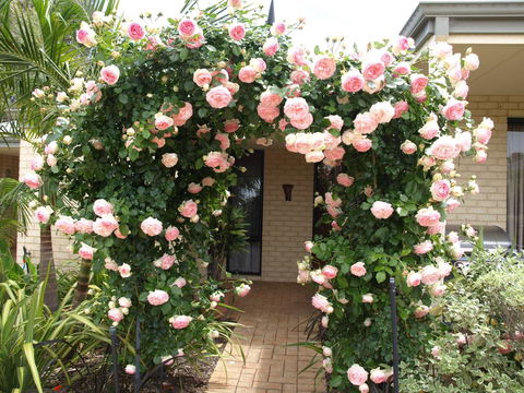 Baudins Of Busselton Bed And Breakfast - Go Out 0