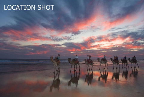 Beach House On James Patterson - Pubs and Clubs 2