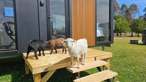 Roccos Retreat By Tiny Away - Pubs and Clubs 2