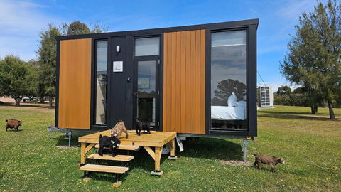 Roccos Retreat By Tiny Away - Pubs and Clubs 0