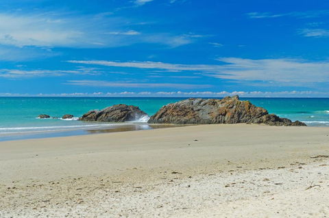 Sandcastle 407 12-24 William Street - Pubs and Clubs 2