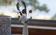 Sea View Guest House - thumb 1