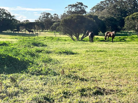 Secluded Rural Retreat In Southwest WA - Pubs and Clubs 3