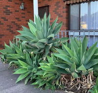 Beautiful Bedroom in Bentleigh East - Pubs and Clubs